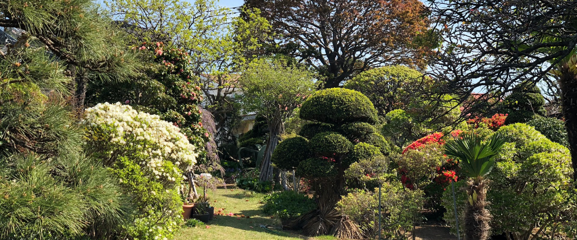 加賀美造園 千葉県四街道市で昭和40年から続く 老舗の植木屋さんです
