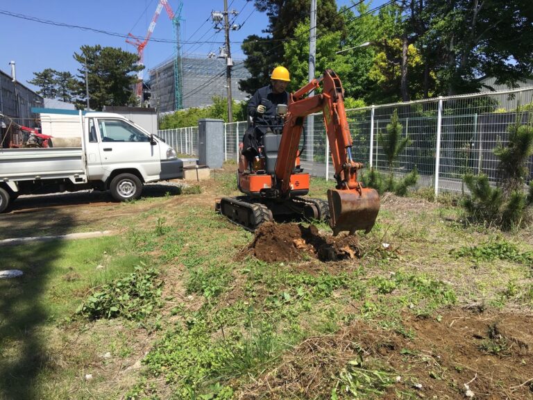 小型の重機で株を掘り起こす抜根の作業