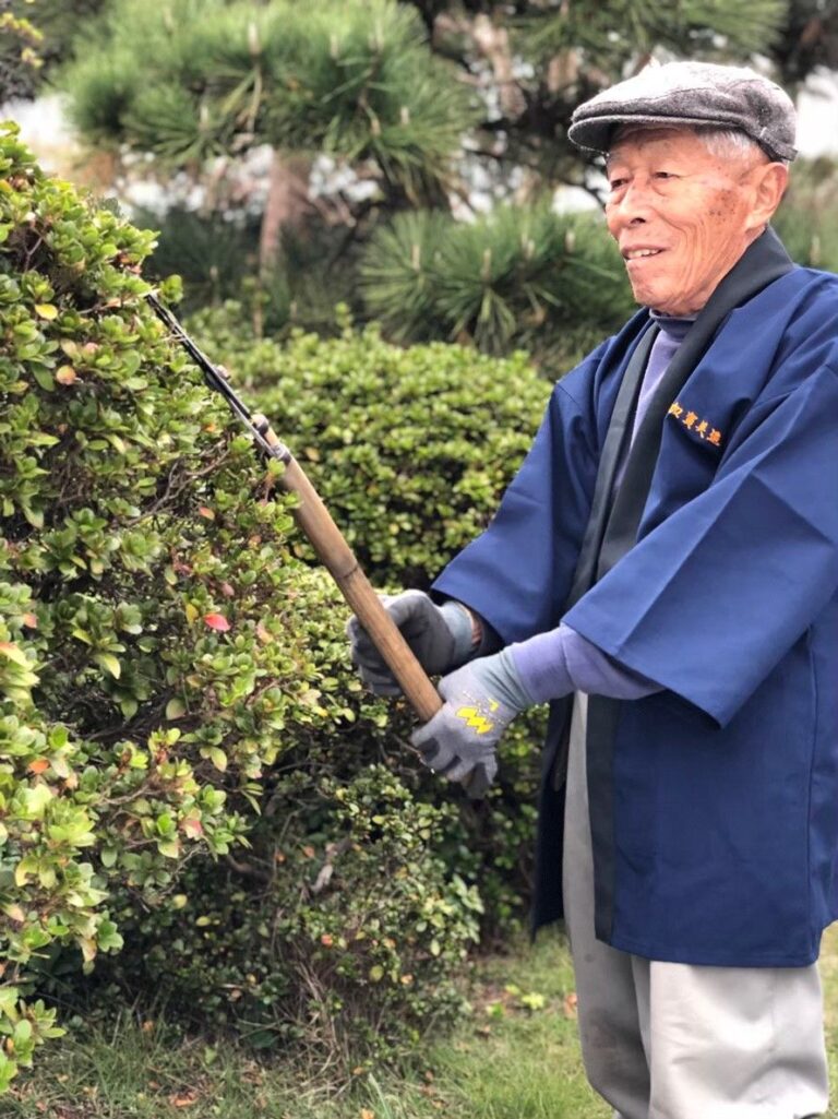 刈込ばさみで植木を整える先代